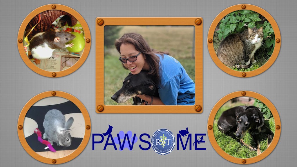 PAWSOME Pet Supportive Services | 47 Rachel Crescent, Markham, ON L6C 1R8, Canada | Phone: (647) 282-7486