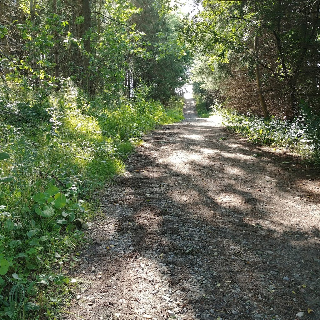 WCC Hydrocut Trails Pines Entrance | 1974 Snyders Rd E, Petersburg, ON N0B 2H0, Canada