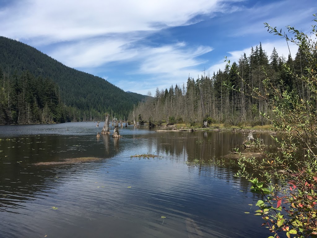 Buntzen Lake Park | 5000 Sunnyside Rd, Anmore, BC V3H 4Z2, Canada | Phone: (604) 469-9679