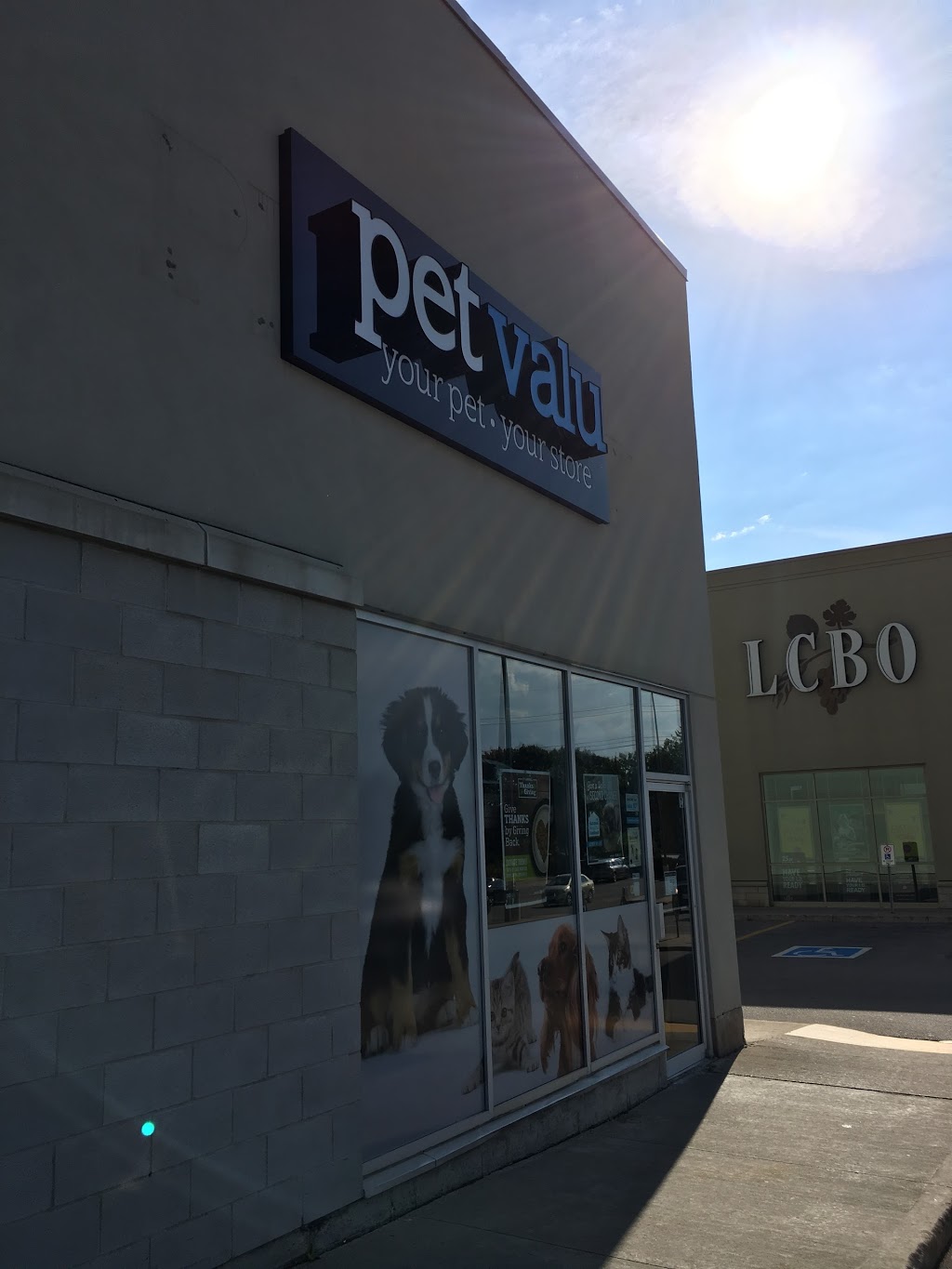 Pet Valu | 615 Scottsdale Dr, Guelph, ON N1G 3P4, Canada | Phone: (519) 836-8460