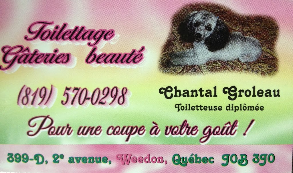 Toilettage Gâteries beauté | 399-D 2e Av, Weedon, QC J0B 3J0, Canada | Phone: (819) 570-0298