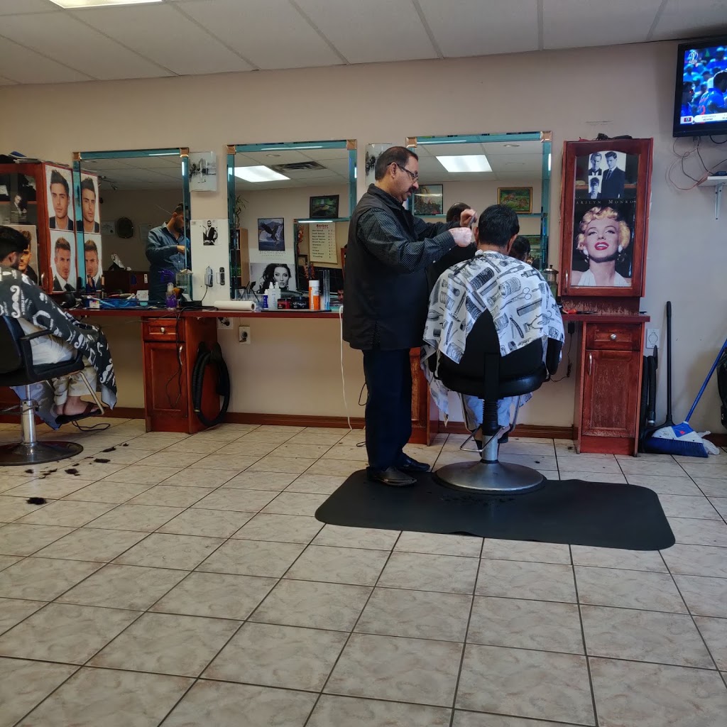 Super Barber Shop & Beauty Salon Ltd | 271 Falshire Dr NE, Calgary, AB T3J 1T9, Canada | Phone: (403) 293-5004