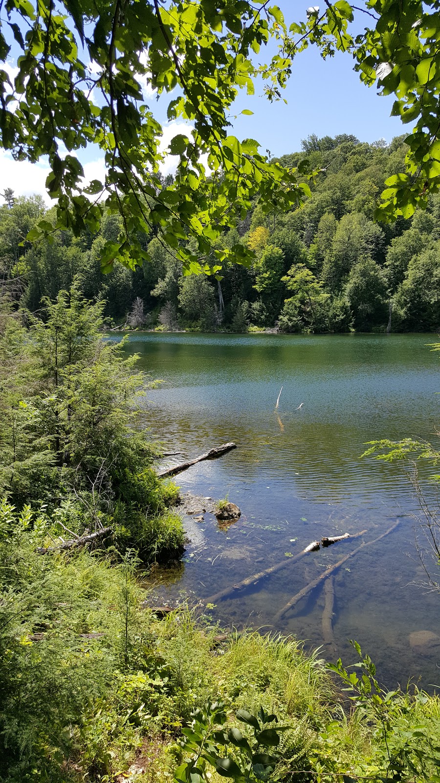 La Forêt Blanche Ecological Reserve | 300 Chemin Saddler, Mayo, QC J8L 4L8, Canada | Phone: (819) 281-6700