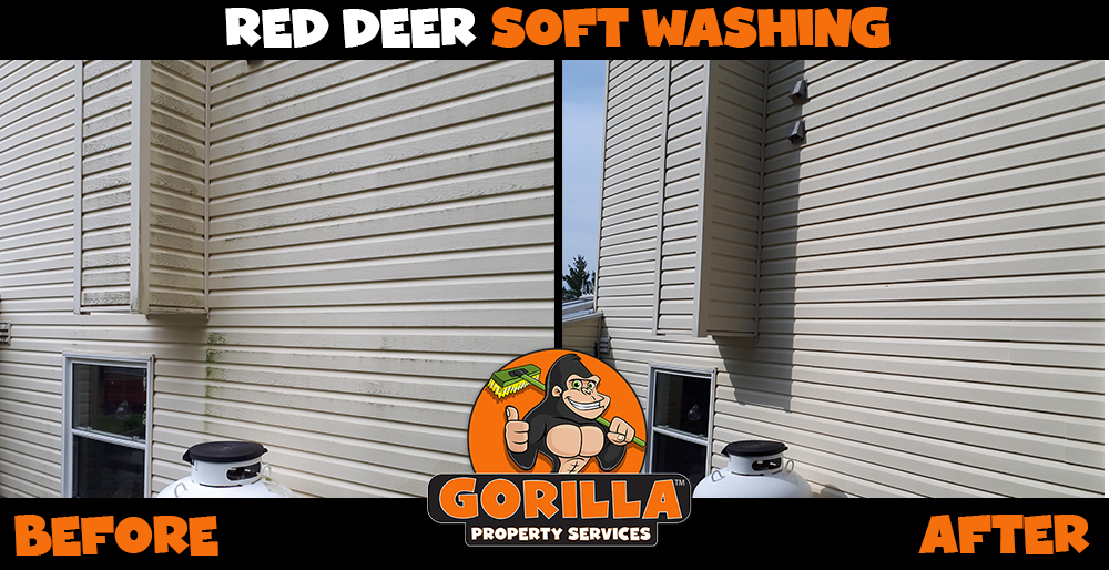 Gorilla Property Services | 6740 Johnstone Dr #40, Red Deer, AB T4P 3Y2, Canada | Phone: (587) 802-2202