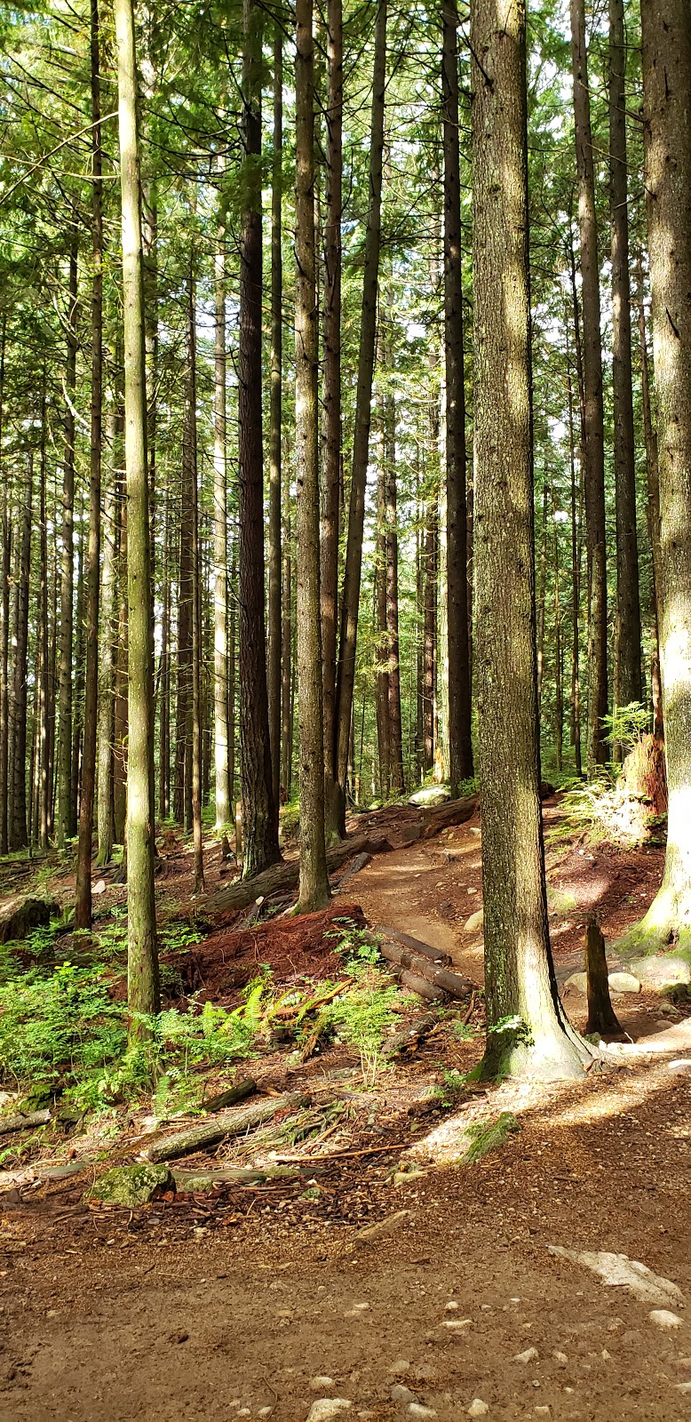 Baden Powell Trail | Baden Powell Trail, North Vancouver, BC V7R 4X4, Canada