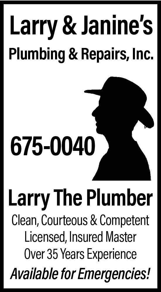 Larry & Janines Plumbing & Repairs, Inc. | 853 Mineral Springs Rd, Buffalo, NY 14224, USA | Phone: (716) 675-0040