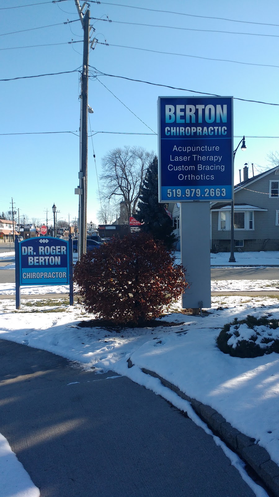 Berton Chiropractic and Acupuncture Clinic at A Healthy Way | 1041 Lesperance Rd, Windsor, ON N8N 1W9, Canada | Phone: (519) 979-2663