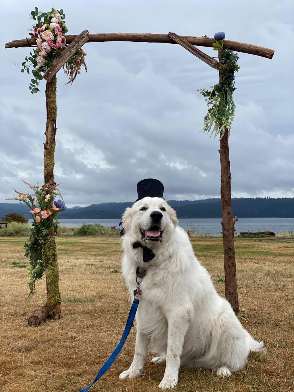 Sage Ceremonies Wedding Officiant | 2658 2nd Ave, Port Alberni, BC V9Y 1Z7, Canada | Phone: (250) 203-1203