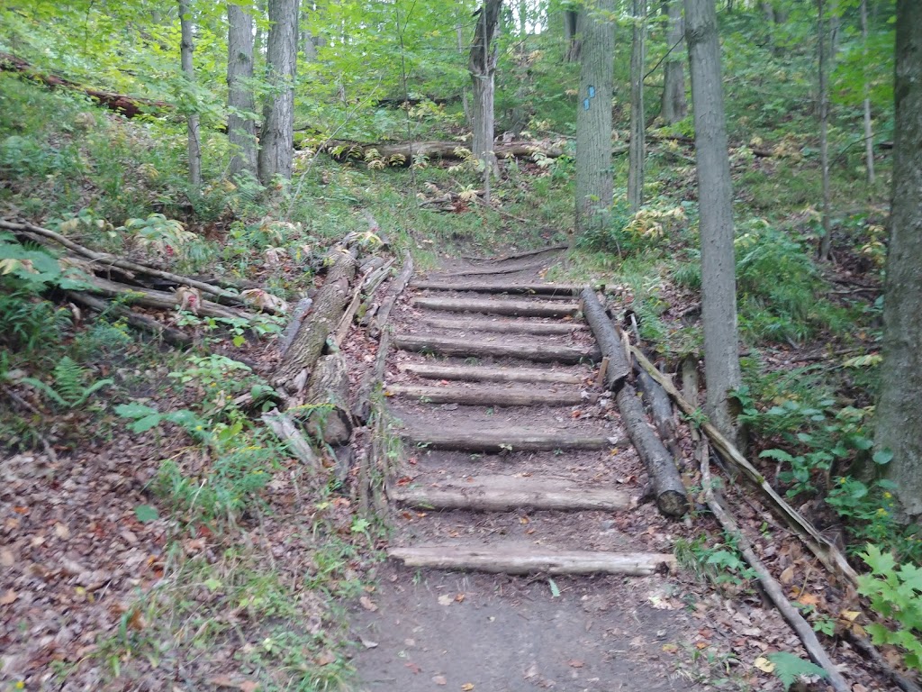 Bruce trail, hockley valley nature reserve. | 794110 3rd Line EHS, Orangeville, ON L9W 2Y8, Canada | Phone: (705) 435-2498