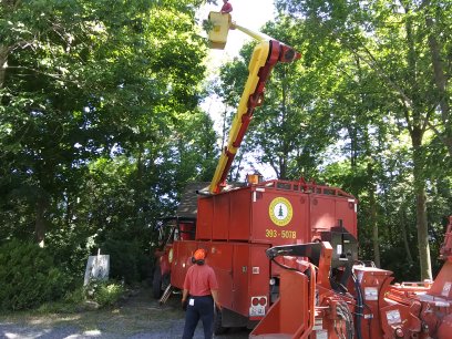 Storring Doug Tree Service | Bloomfield, ON K0K 1G0, Canada | Phone: (613) 393-5078