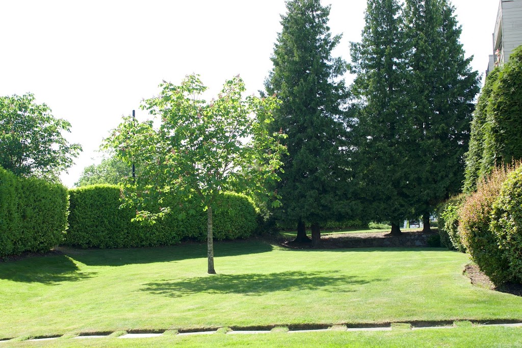 Green Image Lawn and Garden | 892 Woodhall Dr, Victoria, BC V8X 3L8, Canada | Phone: (250) 580-4983