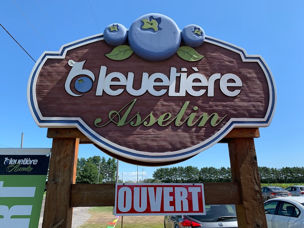 Bleuetière Asselin | 296 Rang St Henri, Lanoraie, QC J0K 1E0, Canada | Phone: (450) 887-1983