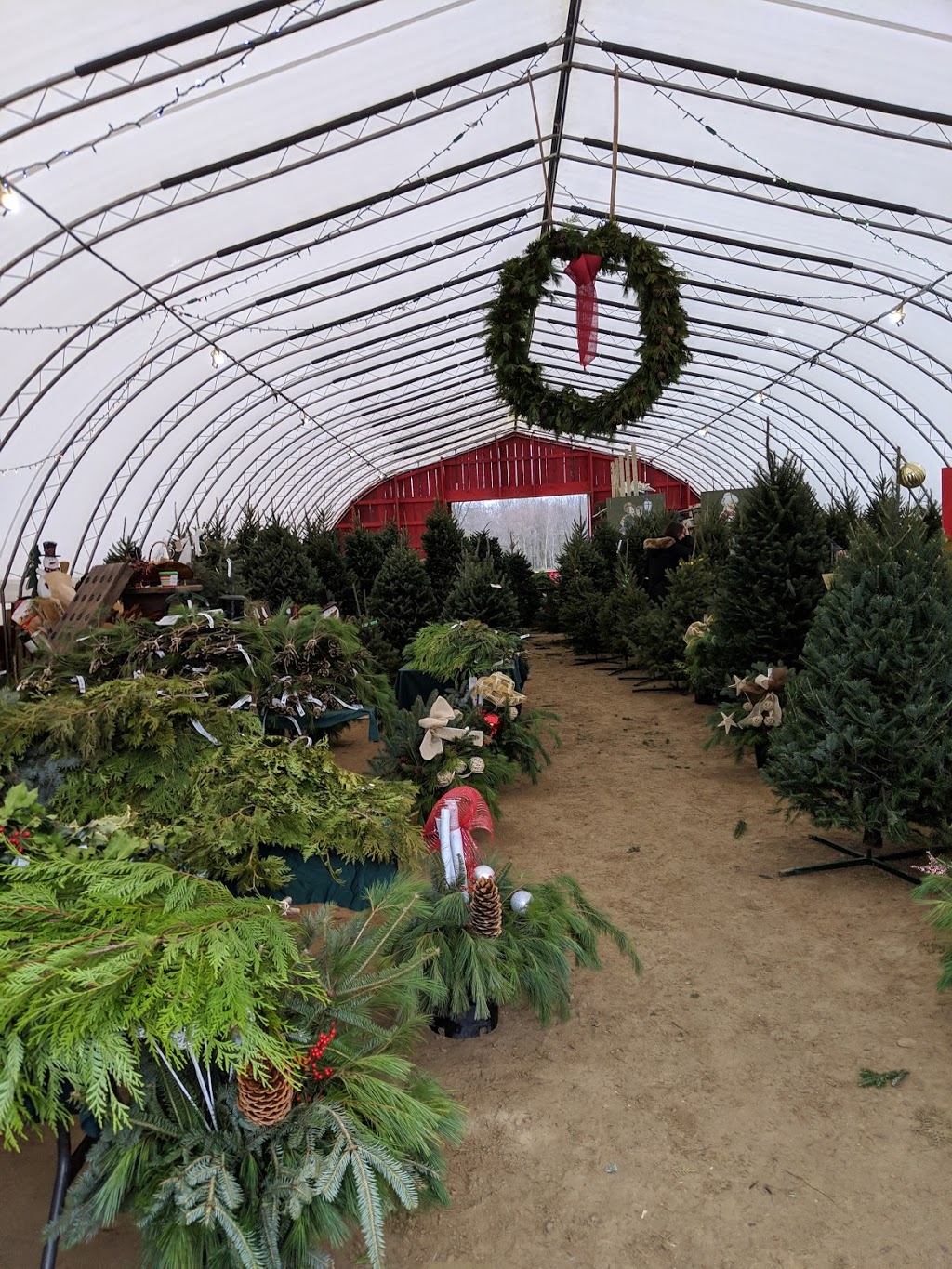 Benjamin Tree Farm | 770 Benjamin Rd, Waterloo, ON N2J 3Z4, Canada | Phone: (519) 699-5000