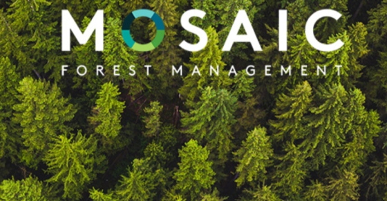 Mosaic Forest Management | 648 Terminal Ave #201, Nanaimo, BC V9R 5E2, Canada | Phone: (250) 716-3700