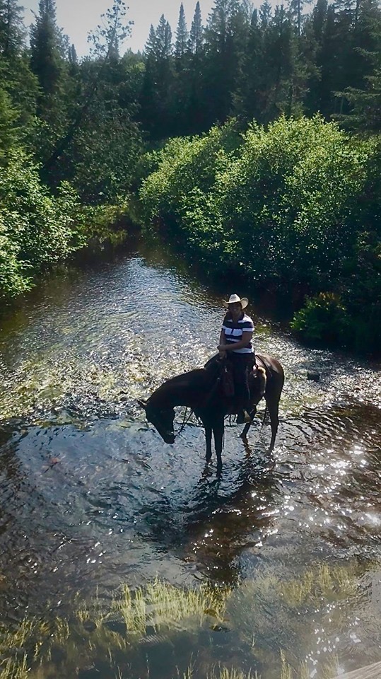 Ferme NORMEL | 2021 Chemin du Ruisseau #1911, Namur, QC J0V 1N0, Canada | Phone: (514) 771-8152