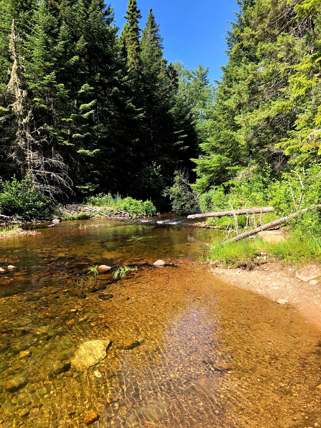 Saint-Maurice Wildlife Reserve | Lac-Normand, Quebec, QC G0X, Canada | Phone: (819) 646-5680