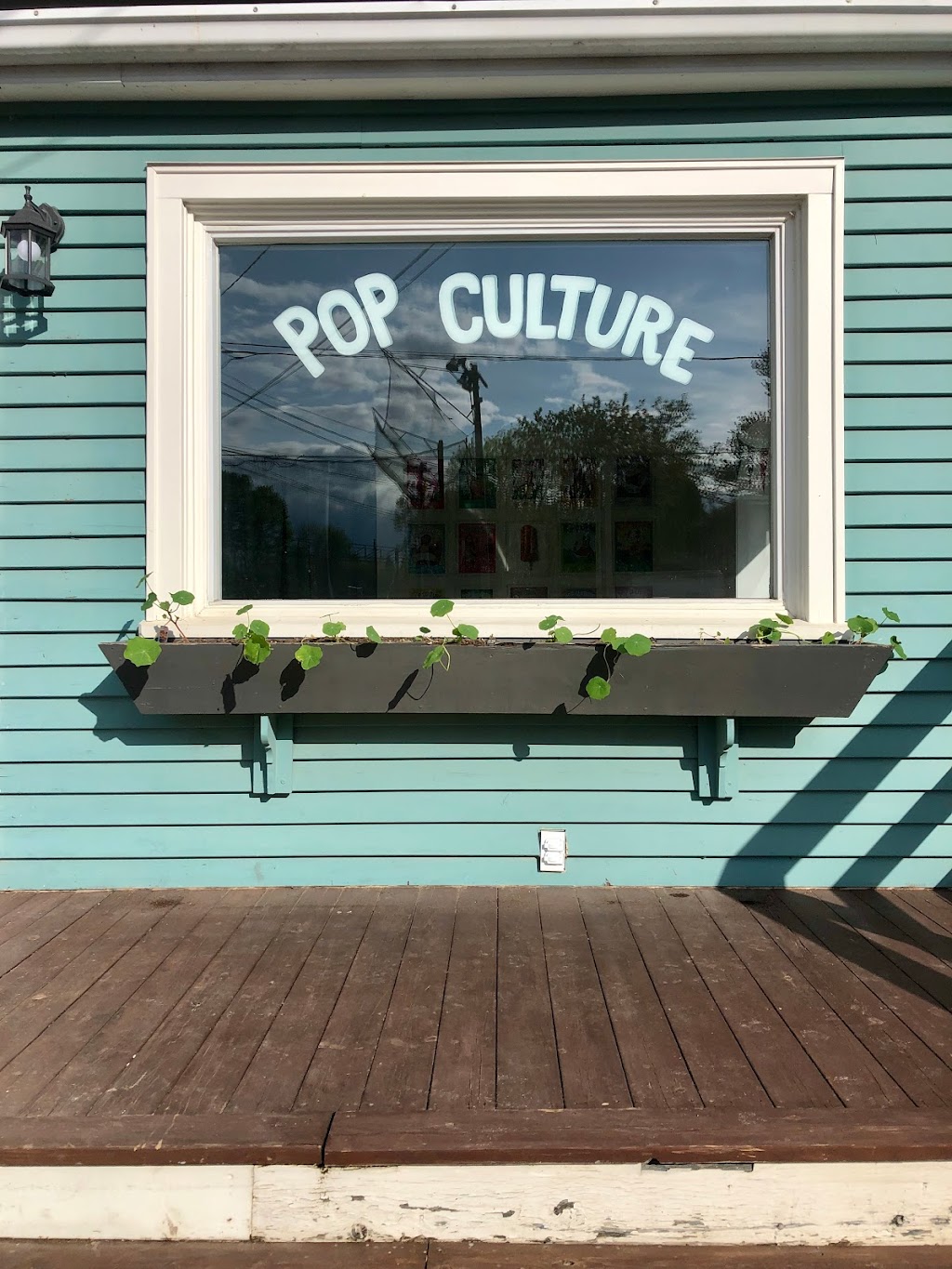 POP Culture gourmet popsicles / pops gourmet | 33 Rue du Yacht Club, Hudson, QC J0P 1H0, Canada | Phone: (514) 834-2316