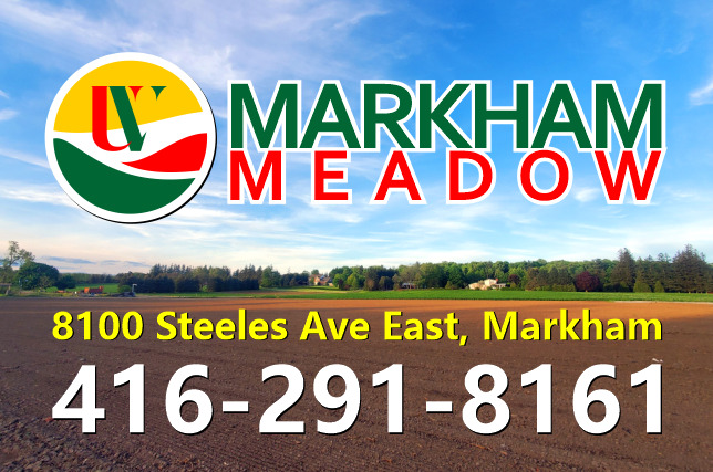 Markham Meadow | 8100 Steeles Ave E, Markham, ON L6B 1A8, Canada | Phone: (416) 291-8161