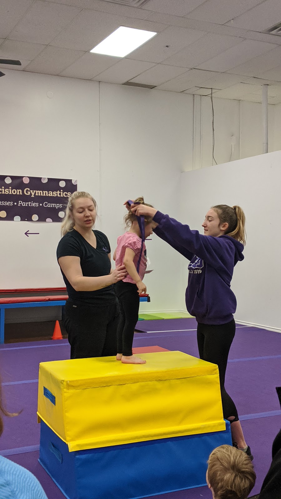 Precision Gymnastics | 3326 Limebank Rd, Ottawa, ON K1V 1H2, Canada | Phone: (613) 608-9002