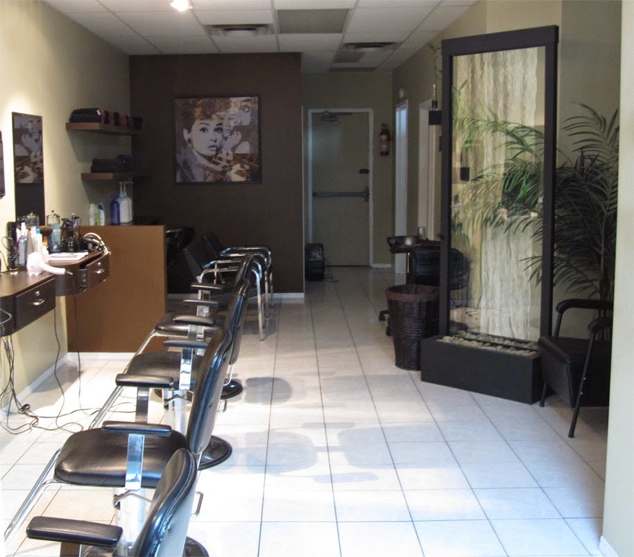 European Hair Design | 2116 Pembina Hwy, Winnipeg, MB R3T 2G8, Canada | Phone: (204) 269-1492