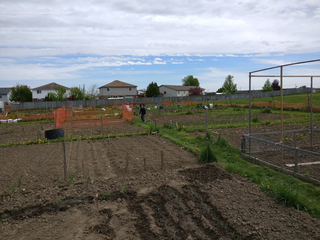 Hope and Unity Community Garden | Kitchener, ON N2E 3T1, Canada