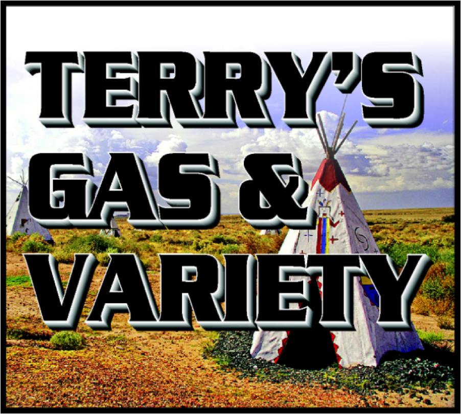 Terrys Gas And Variety | 1420 Mississauga St, Curve Lake, ON K0L, Canada | Phone: (705) 657-1998