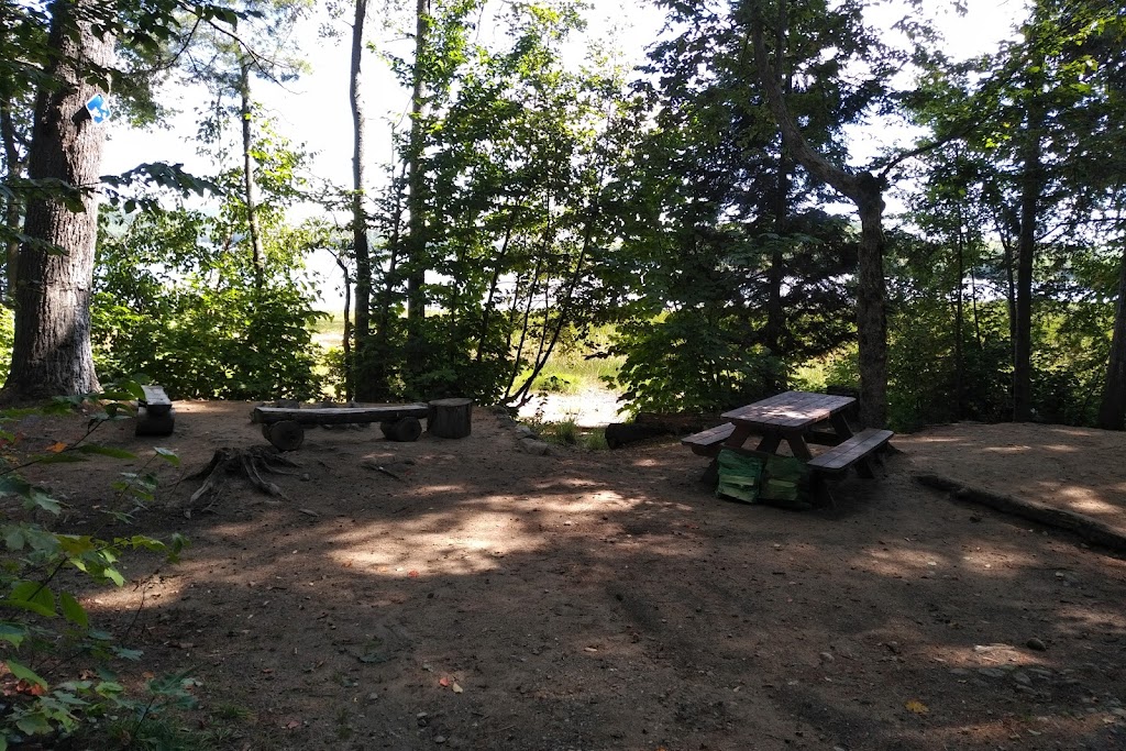 Site De La Plage/Beach - Poisson Blanc - Secteur Rapide Du Fort | 24 Chem. du Rapide du Fort, Antoine-Labelle, QC J0W 1S0, Canada | Phone: (866) 707-2999