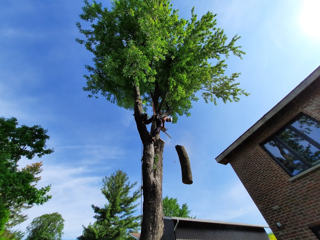 Zarb - Arboriculture Responsable | 5135 Rue Ramsay, Saint-Hubert, QC J3Y 2S3, Canada | Phone: (514) 358-2770