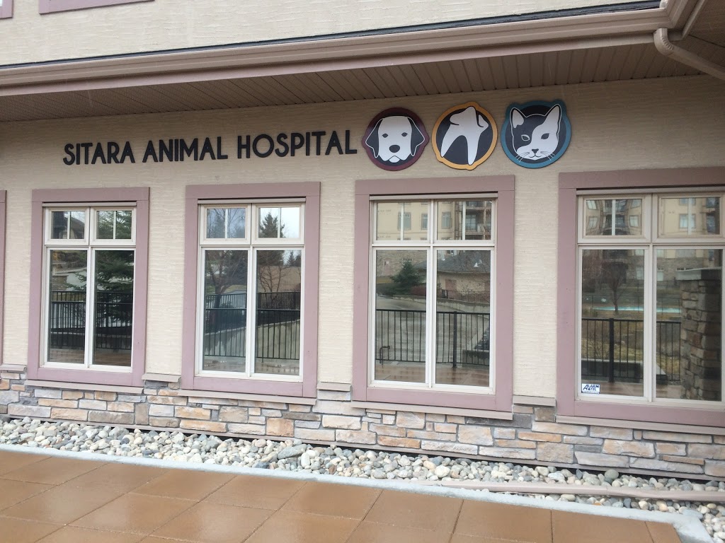 Sitara Animal Hospital | 2611 Stillwater Way #101, Lake Country, BC V4V 2R3, Canada | Phone: (778) 480-6274