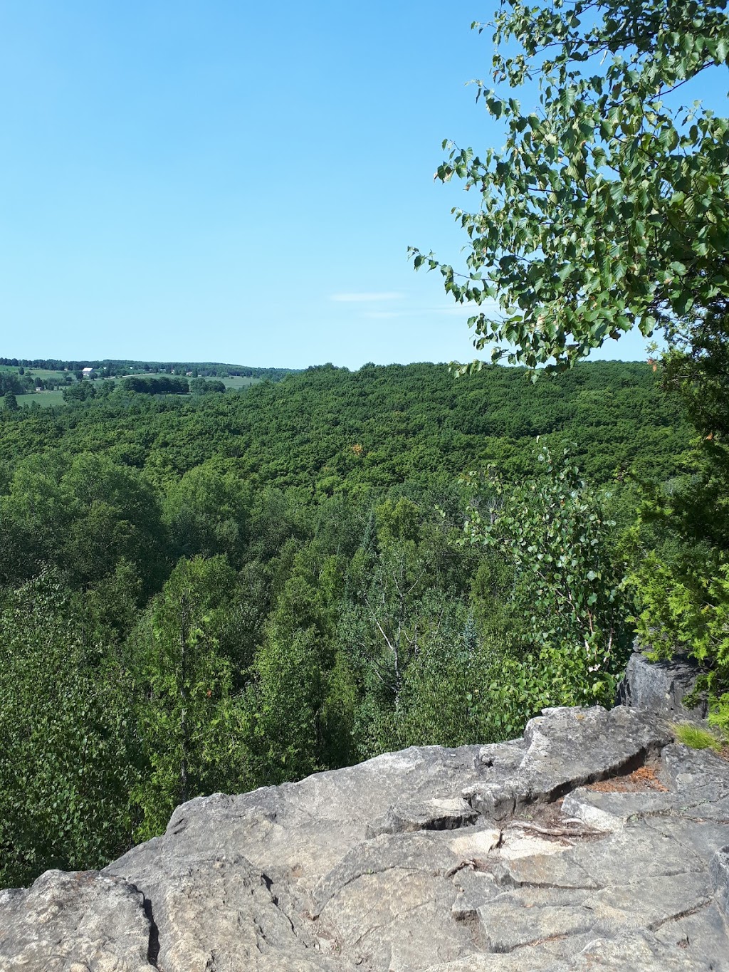 Nottawasaga Bluffs Conservation Area | 8861 Sideroad 15 & 16 Nottawasaga, Glen Huron, ON L0M 1L0, Canada | Phone: (705) 424-1479