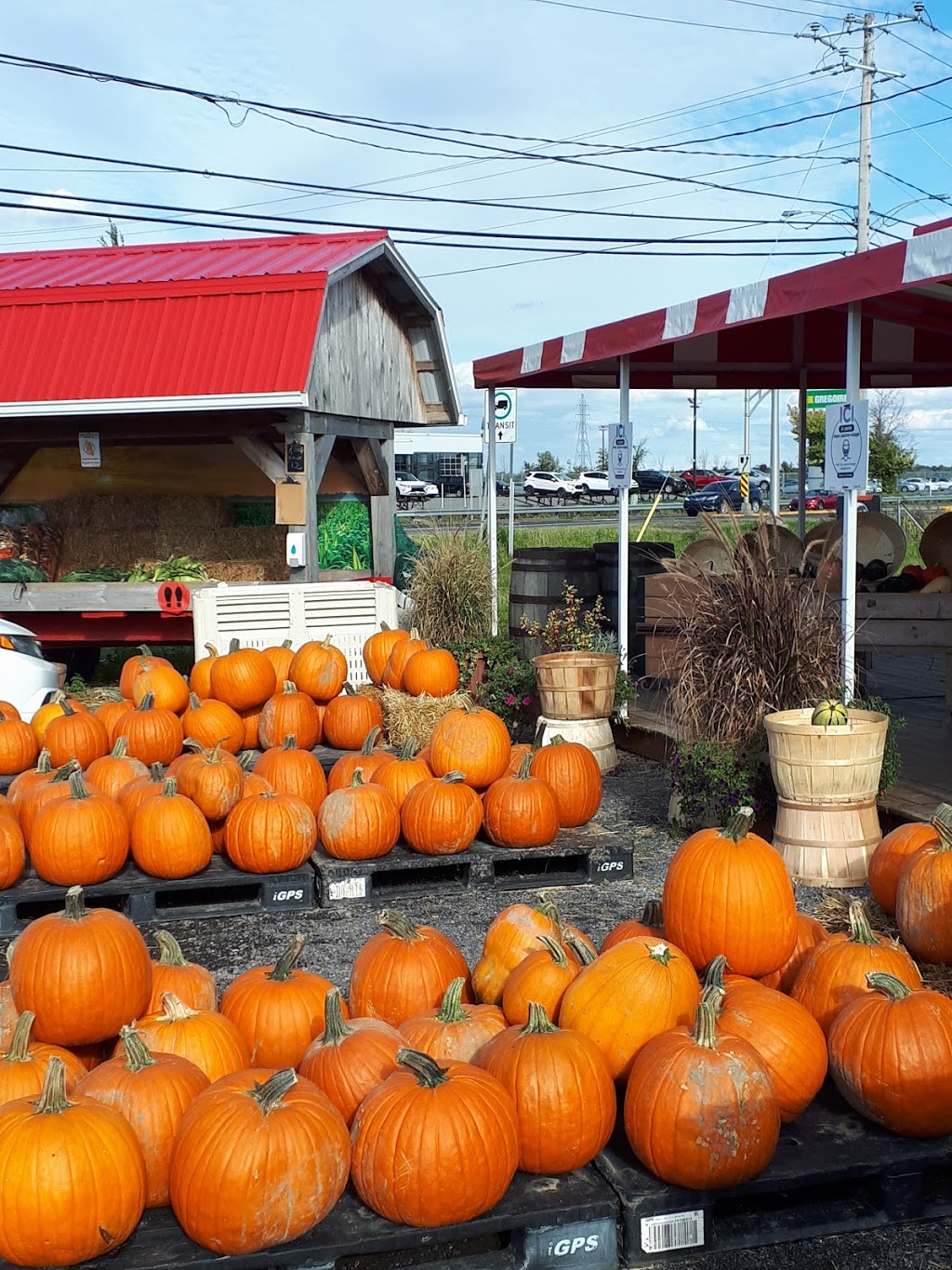 Les jardins de la mère Michel | 1841 Chemin de Chambly, Carignan, QC J3L 4N4, Canada | Phone: (450) 441-0780