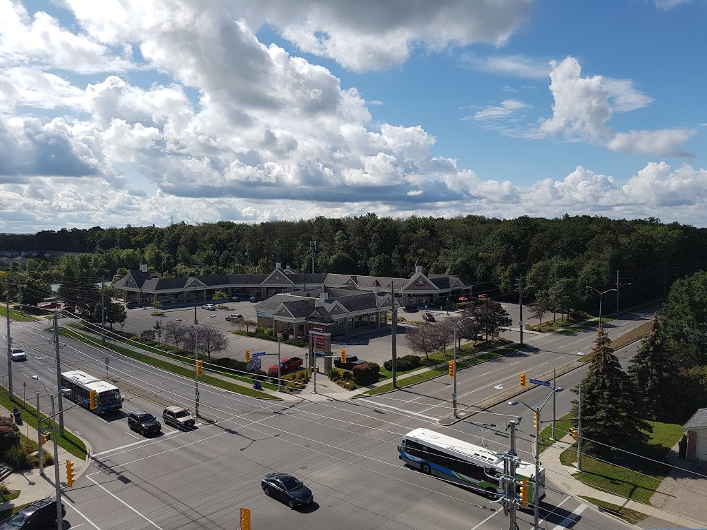 Hartsland Market Square | 210 Kortright Rd W, Guelph, ON N1G 4X4, Canada