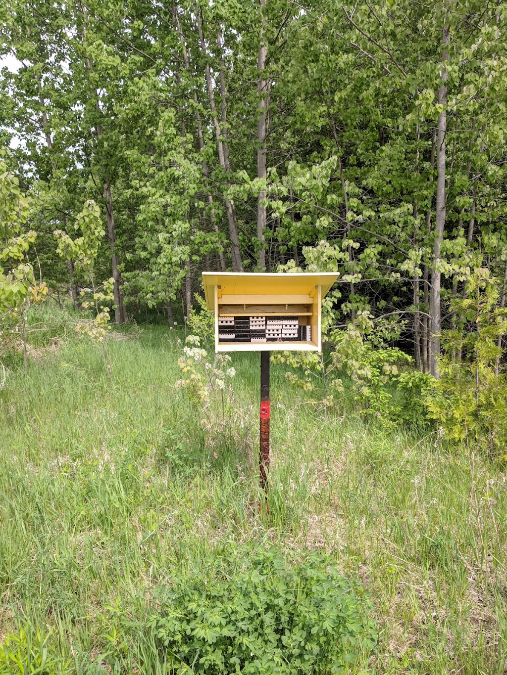 Native Plants in Claremont | 4965 Westney Rd N, Claremont, ON L1Y 1A2, Canada | Phone: (416) 888-3363