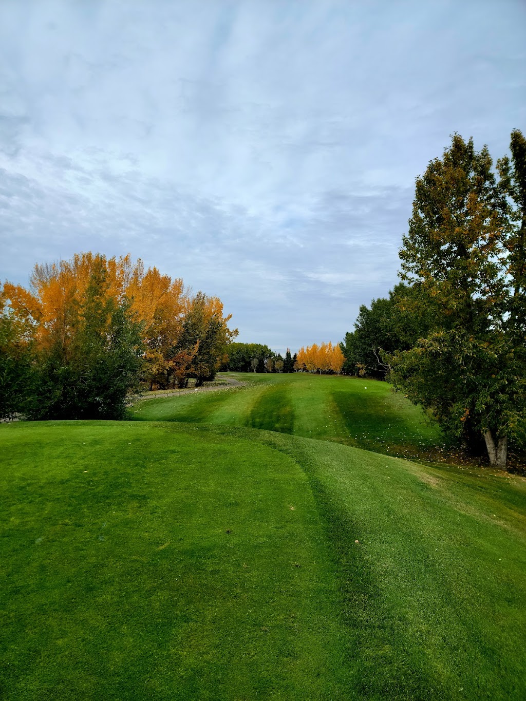 Lewis Estates Golf Course | 260 Suder Greens Dr NW, Edmonton, AB T5T 4B7, Canada | Phone: (780) 489-4653