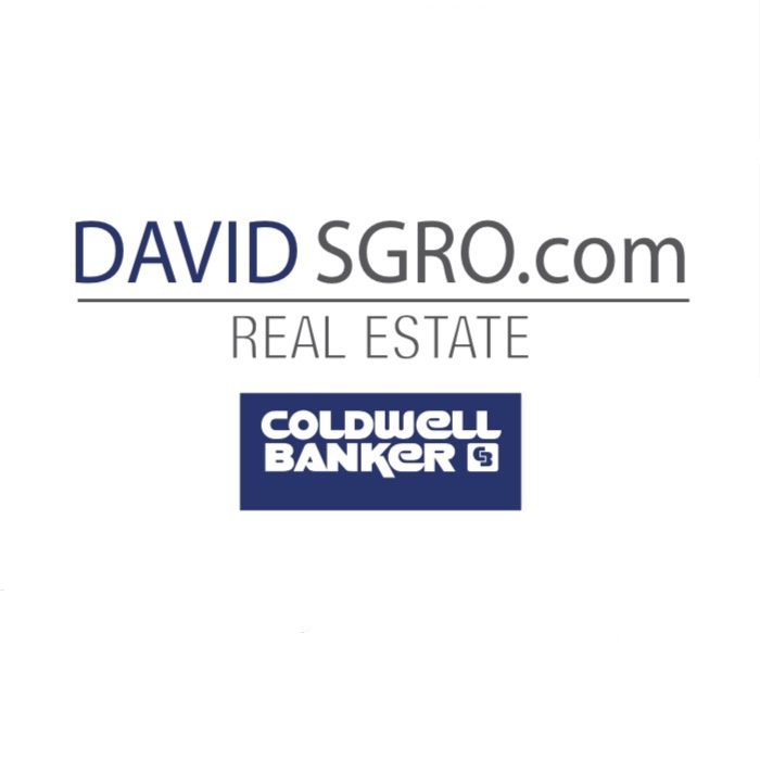 David Sgro Real Estate | 367 Victoria St E, Alliston, ON L9R 1J8, Canada | Phone: (877) 435-4336