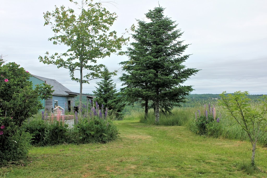 Bolerame Acres Homestay | 1054 Osborne Rd, New Germany, NS B0R 1E0, Canada | Phone: (902) 298-7773