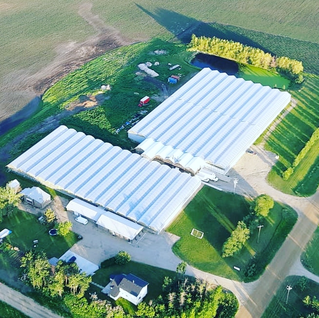 S4 Greenhouses Ltd. | 40315 Range Road 27-5 Site 3 Box 20 RR 1, AB T4L 2N1, Canada | Phone: (403) 782-5089
