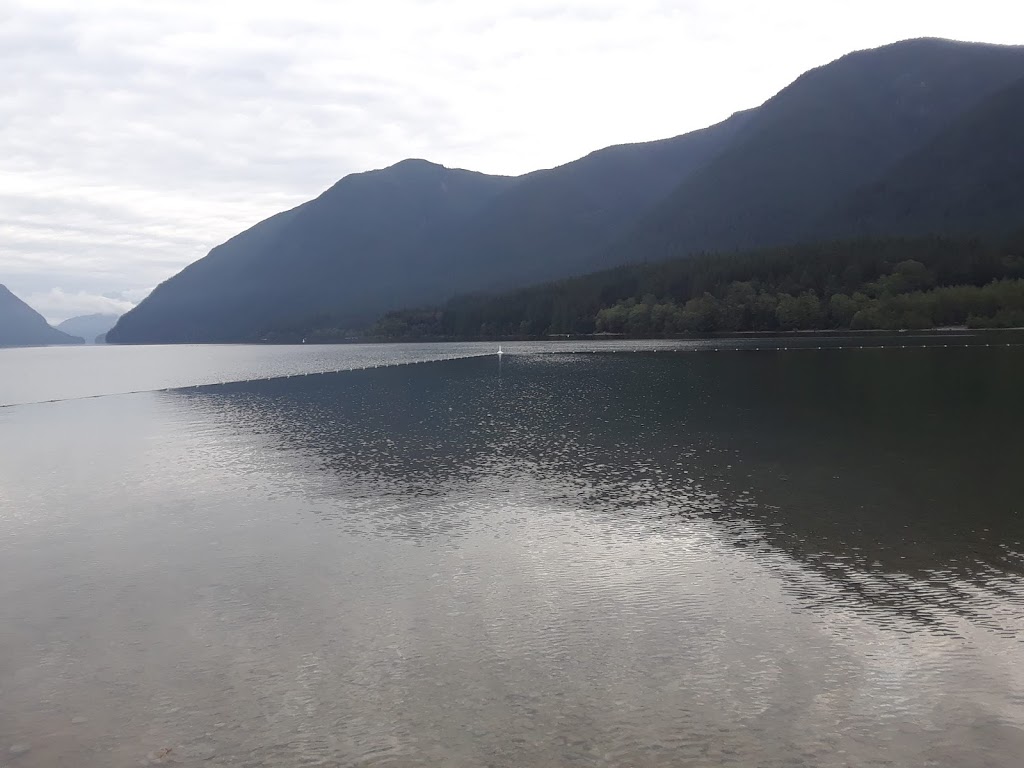 Learn to Fish - Allouette Lake | Allouette Dr, Maple Ridge, BC V0M, Canada