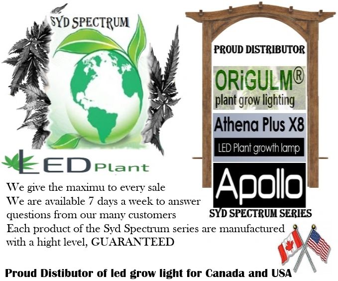 SYD SPECTRUM | 4088 Rue Saint-Georges, Lévis, QC G6W 1E5, Canada | Phone: (418) 998-5555