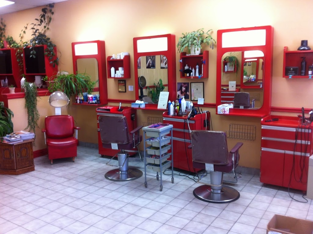 salon117 hair design | Lake City Plaza, 117 Main St, Dartmouth, NS B2X 1R6, Canada | Phone: (902) 462-5911