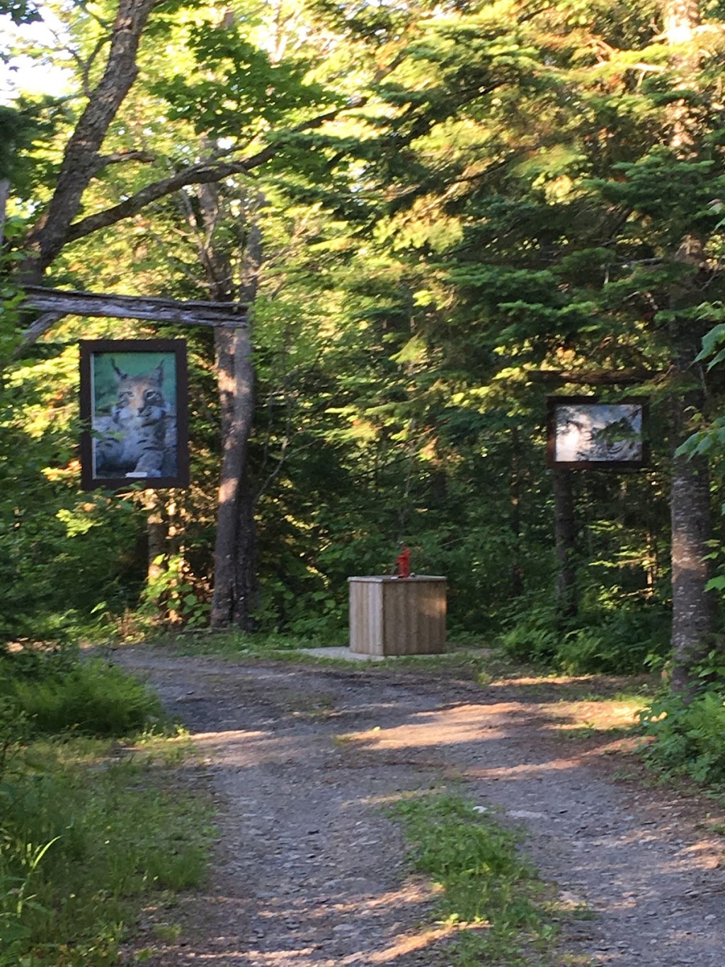 Camping Le Rescapé | 211 RANG 12 OUEST, Saint-Benjamin, QC G0M 1N0, Canada | Phone: (418) 221-2668