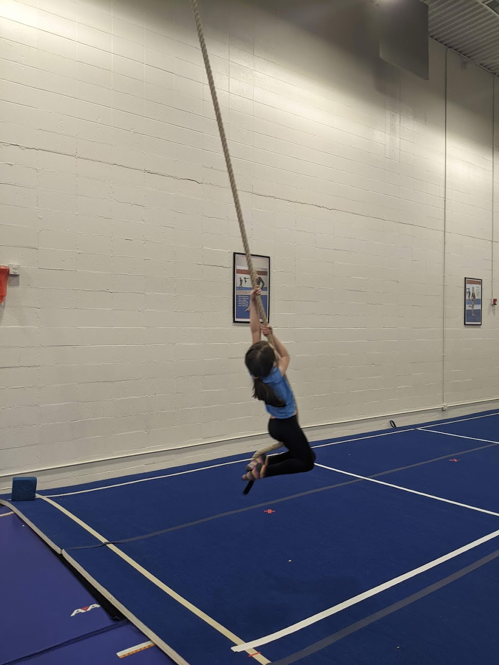 Fort Gymnastics Club | 9419 94 Ave, Fort Saskatchewan, AB T8L 1N6, Canada | Phone: (587) 285-3441