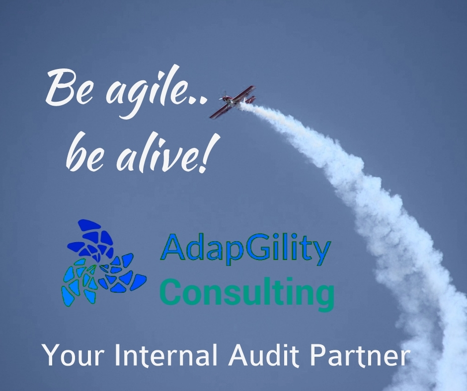 AdapGility Consulting | 219 Rivertree St, Kanata, ON K2M 0J4, Canada | Phone: (613) 986-3884