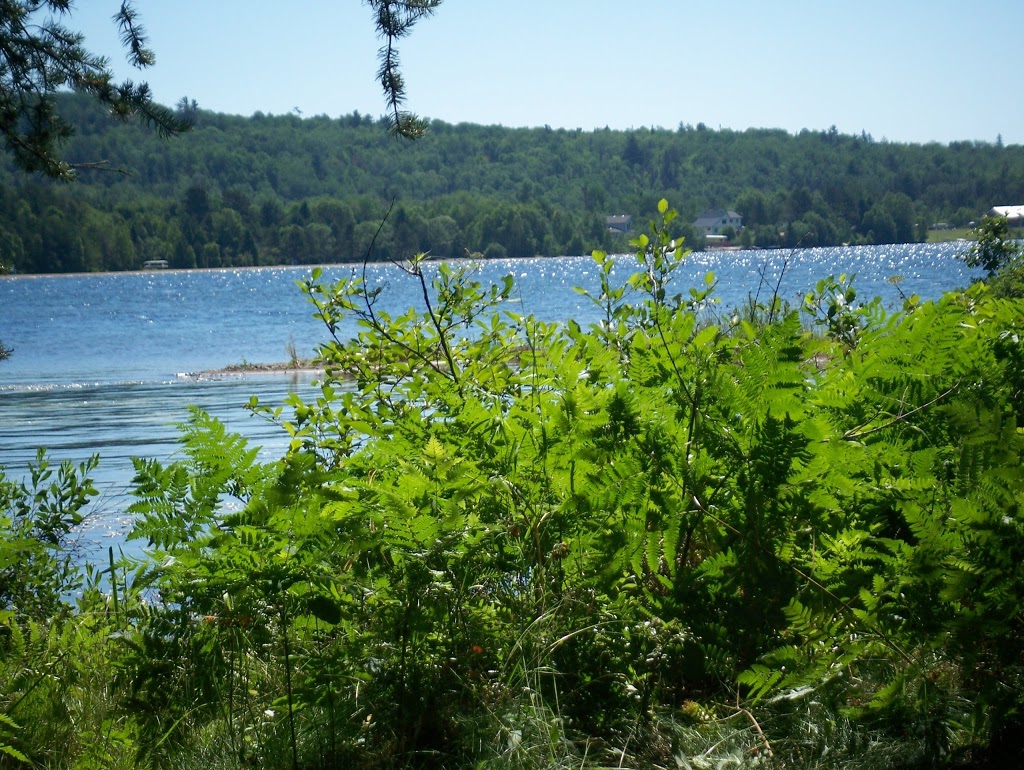 Windy Lake Provincial Park | 51 Pine St, Onaping, ON P0M 2R0, Canada | Phone: (705) 966-2315