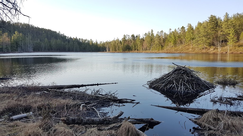 Serpentine-de-Coleraine Ecological Reserve | Saint-Joseph-de-Coleraine, QC G0N 1B0, Canada | Phone: (418) 423-3351