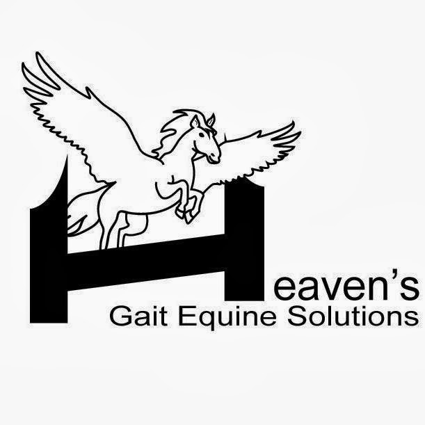 Heavens Gait Equine Solutions | 21546 Township Rd 520, Sherwood Park, AB T8E 1H1, Canada | Phone: (780) 953-1570