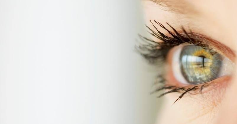 Dr Janie Cote Optometrist | 4 Robert Angus Dr #8, Amherst, NS B4H 4R7, Canada | Phone: (902) 667-5428