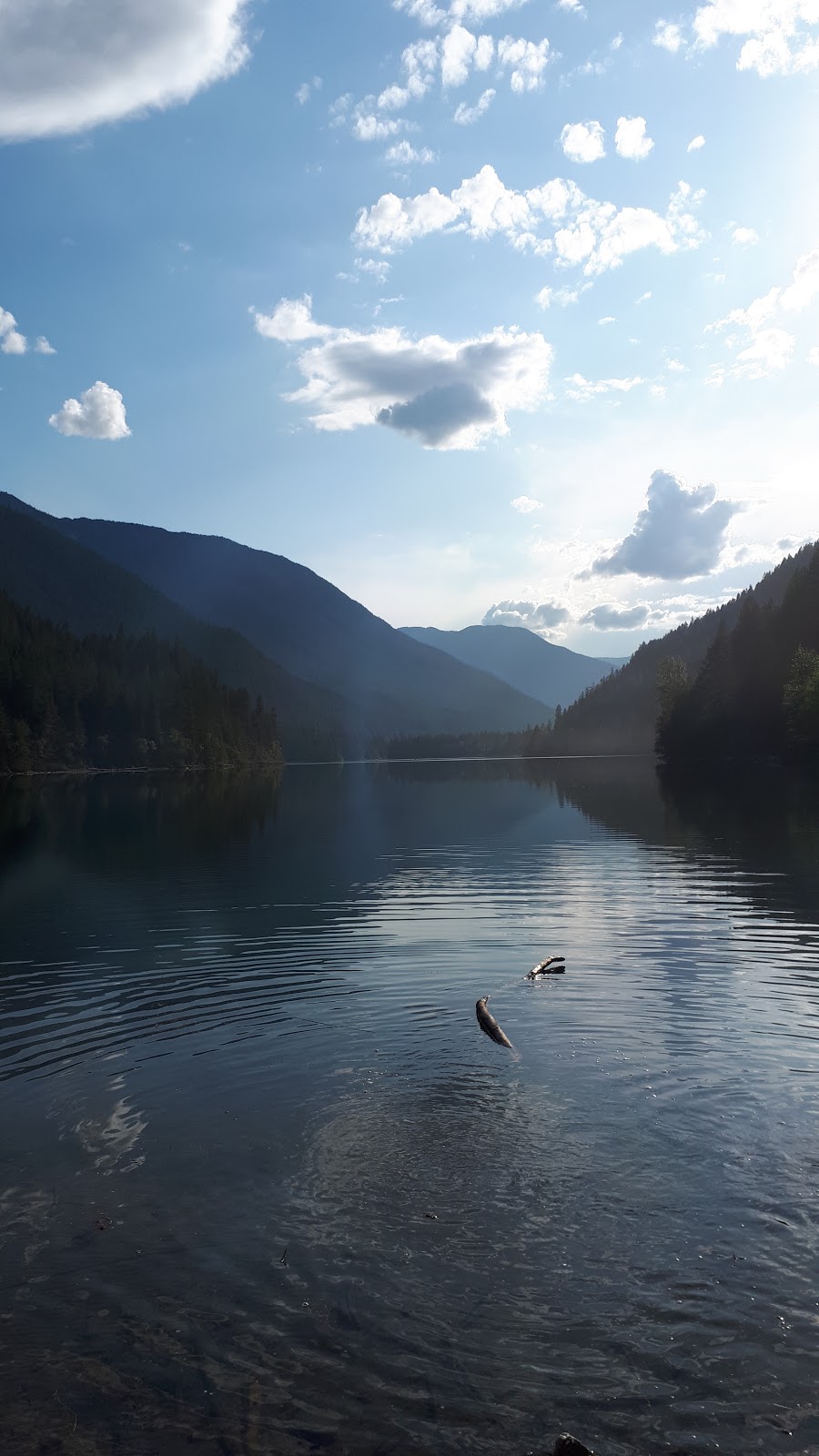 Squakum Campground | Nahatlatch Rd, Fraser Valley A, BC V1K 0B2, Canada | Phone: (800) 689-9025