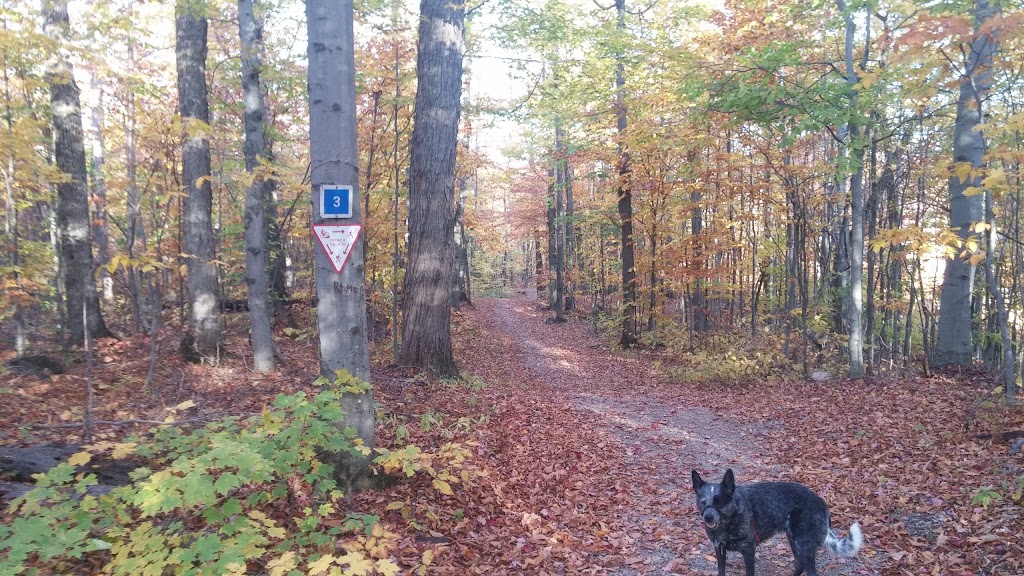 Huron Trail | Chelsea, QC J9B 1H9, Canada