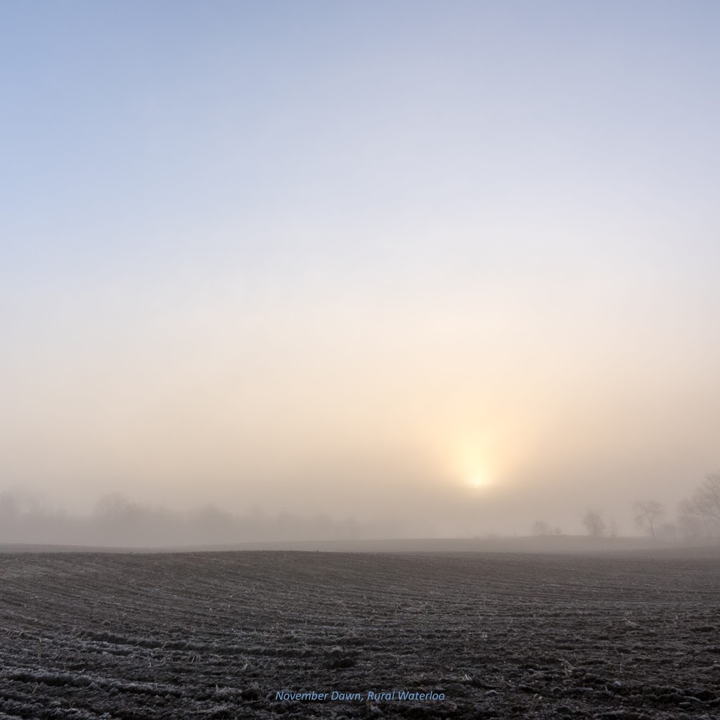 luxBorealis - photographs by Terry A. McDonald | 79 Vanier Dr, Guelph, ON N1G 2K9, Canada | Phone: (519) 265-4151